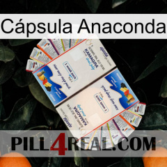 Cápsula Anaconda kamagra1